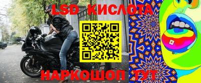 прущие крисы Апшеронск