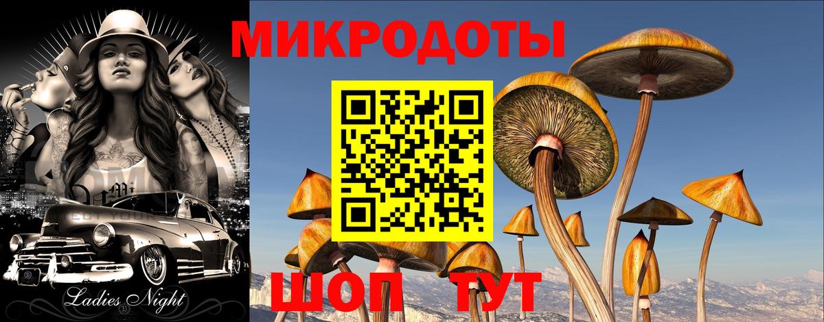 Галлюциногенные грибы MAGIC MUSHROOMS Усть-Лабинск